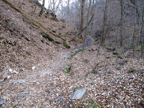20171128hike (208)